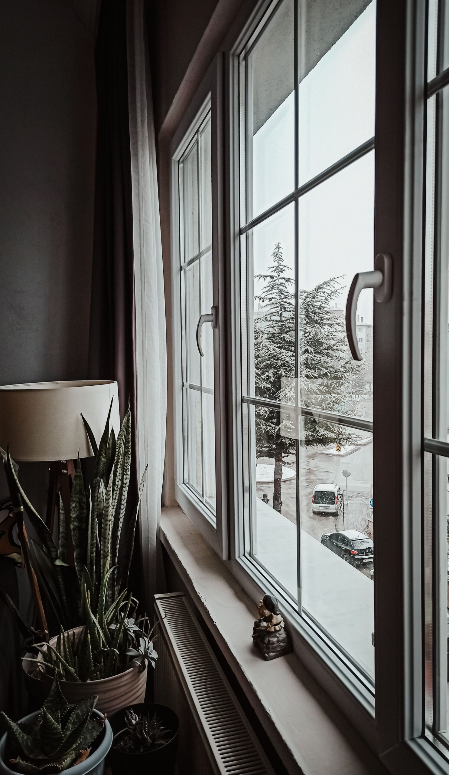 pexels-canshotz-36406089